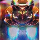 Glass Jar / Mindkilla [12