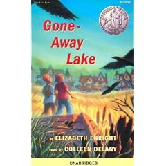 Gone-Away Lake