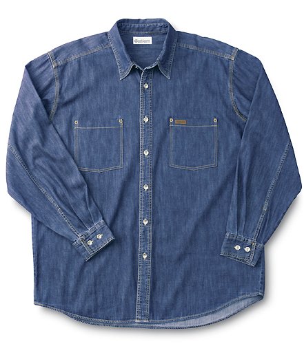 Buy Carhartt® Denim Work Shirt by CARHARTT