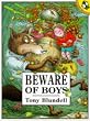 Beware of Boys (Picture Puffin)
