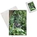 Photo Jigsaw Puzzle of Grey Squirrel - feeding inside squirrel proof bird nut feeder from Ardea Wildlife Pets