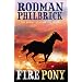 The Fire Pony