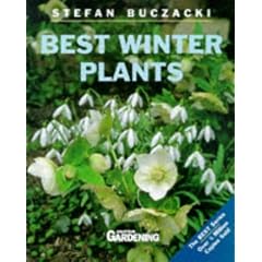 Best Winter Plants ("Amateur Gardening" Guide)