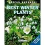 Best Winter Plants ("Amateur Gardening" Guide)