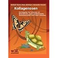 Kollagenosen: Ein Ratgeber f�r Patienten mit Sklerodermie, Lupus erythematodes, Dermatomyositis und Lichen sclerosus