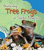 Watching tree frogs in South America