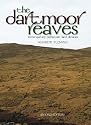 The Dartmoor Reaves: Investigating Prehistoric Land Divisions