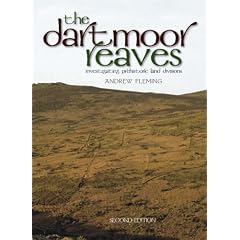 The Dartmoor Reaves: Investigating Prehistoric Land Divisions