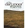 The Dartmoor Reaves: Investigating Prehistoric Land Divisions