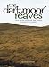 The Dartmoor Reaves: Investigating Prehistoric Land Divisions
