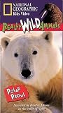 National Geographic s Really Wild Animals: Polar Prowl [VHS]