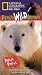 VHS : National Geographic's Really Wild Animals: Polar Prowl