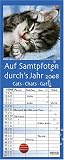 Auf Samtpfoten durch's Jahr 2008