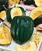 Table King Acorn Winter Squash Seeds - Cucurbita Pepo - 2 Grams - Approx 30 Gardening Seeds - Vegetable Garden Seed