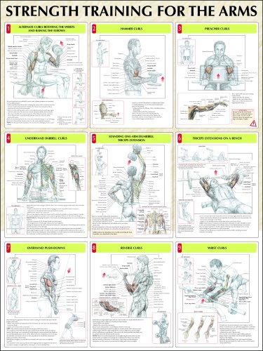 Strength Training Anatomy: Strength Training for the Arms Poster