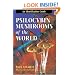 Psilocybin Mushrooms of the World: An Identification Guide