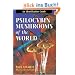 Psilocybin Mushrooms of the World: An Identification Guide