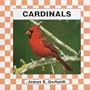 Cardinals (Birds)