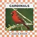 Cardinals (Birds) by James E. Gerholdt