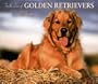 For the Love of Golden Retrievers 2004 Calendar