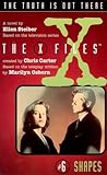 Shapes : a novel