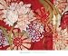 Crimson Malay I - Kate Birch Art Print Poster 24 x 20