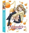 B Gata H Kei: Yamada's First Time Complete Series (Limited Edition Blu-ray/DVD Combo)