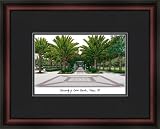 Framed & Matted Picture University of South Florida Bulls NCAA Item