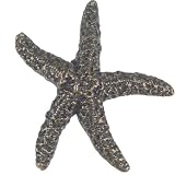 Atlas Homewares 142-BB 2-Inch Starfish Knob, Burnished Bronze
