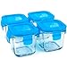 Wean Green Wean Cubes 4oz/120ml Baby Food Glass Containers - Blueberry (Set of 4)
