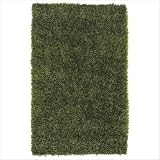 Shimmer Green Shag Rug Size: 5 x 8 Shimmer Green Shag Rug Size: 5 x 8