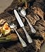 Kitchen & Housewares : Ricci Merletto 5-Piece Stainless Flatware Hostess Set