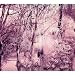 Anklicken zum Vergrößeren: Esben and the Witch - Violet Cries (Audio CD)