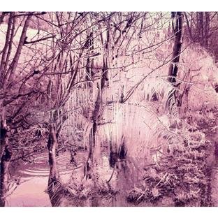 Esben & The Witch - Violet Cries - Zortam Music