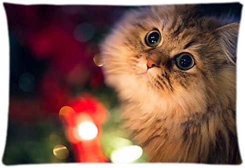 Twothird Cute Beautiful Lovely Cat On Pray Decorative Cushion Cover For Couch Car Pillowcase Sofa Chair Seat Throw Pillow Cover, 20x30 Inch(Twin Sides)