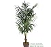 ONE 8.5' Extra Full Artificial Kentia Palm Tropical Tree