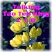 Talking TaoTeh King v1.0 (The Tao And Its Characteristics)