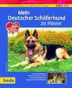 Deutscher Schäferhund, zu Hause