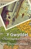 Y Gwyddel : o Geredigion i Galway