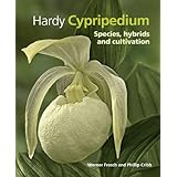 hardy cypripedium species hybrids and cultivation