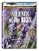 Nature: Silence of the Bees