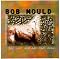 Bob Mould Picture 5