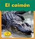 El Caiman / Alligator (Animales Del Zoologico)