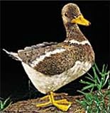FRANK Stroh-Ente