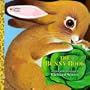 The Bunny Book (Look-Look)