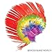 Rhode Island Novelty Adult Rainbow and Pink School and Team Spit Mohawk Wig