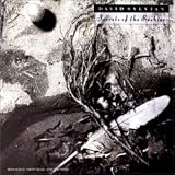 Revue David Sylvian  / Secret Of The Beehive