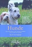 Hunde: Neue Erkenntnisse �ber Herkunft, Verhalten und Evolution der Kaniden