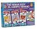  : The Human Body Game in Spanish and English