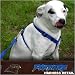 Carolina Panthers Black Dog Harness